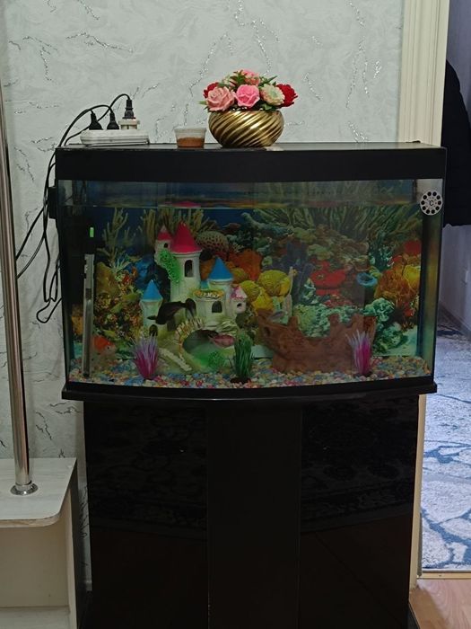 Akvarium 100litr