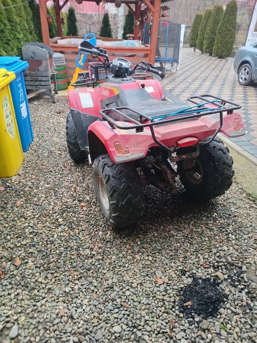 De  vânzare ATV Detali în privat