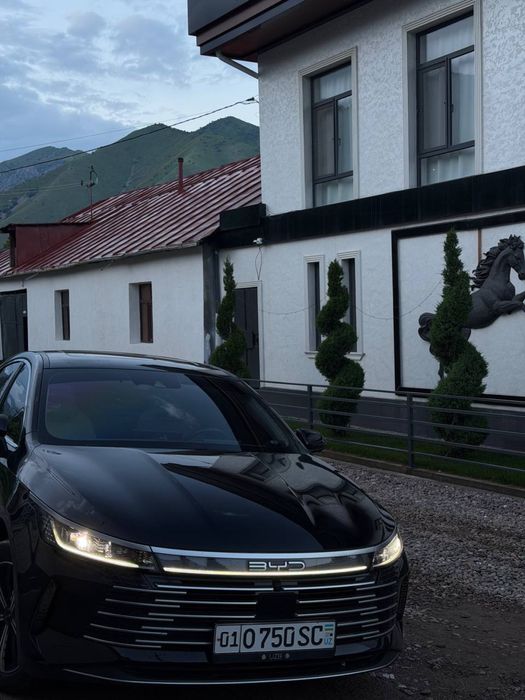 Byd Chazor champion 120 flagship 2024 NFS kartali