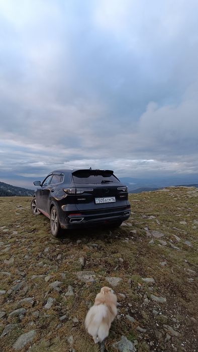 Сдам Changan cs55plus