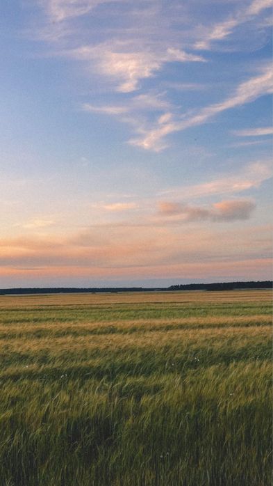 Продам агробизнес