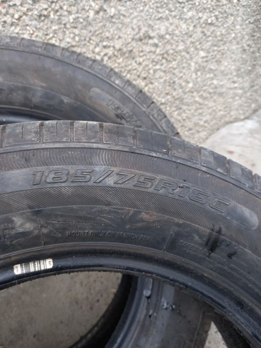 Gazel uchun yangi balon