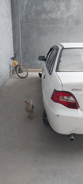 Sotiladi Nexia 2 Toshkent