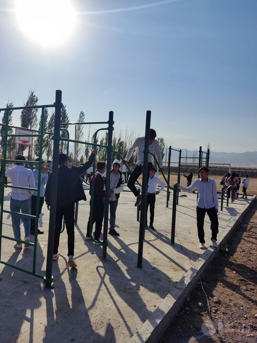 Воркаут Workout спортивное оборудование