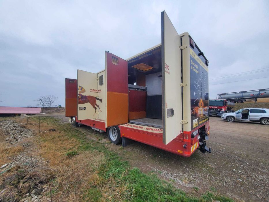 DAF AF95XF  transport cai