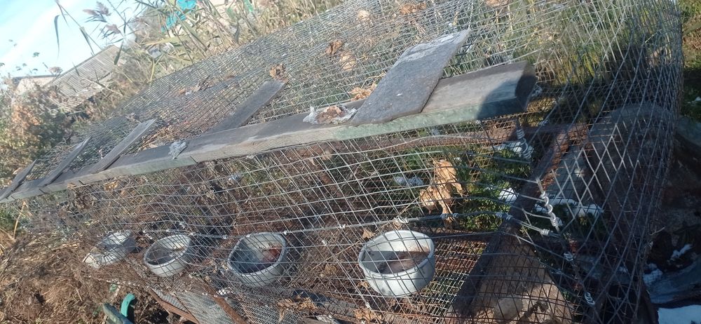 Клетки для кроликов