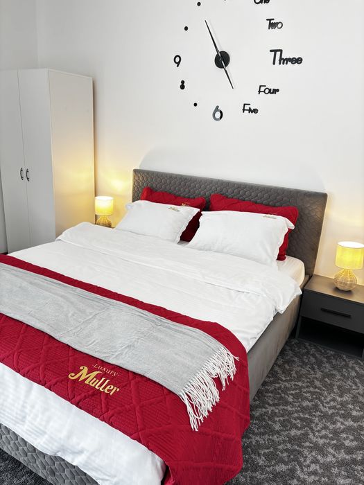 Cazare Apartament 1 Camere Regim Hotelier, Iulius Mall