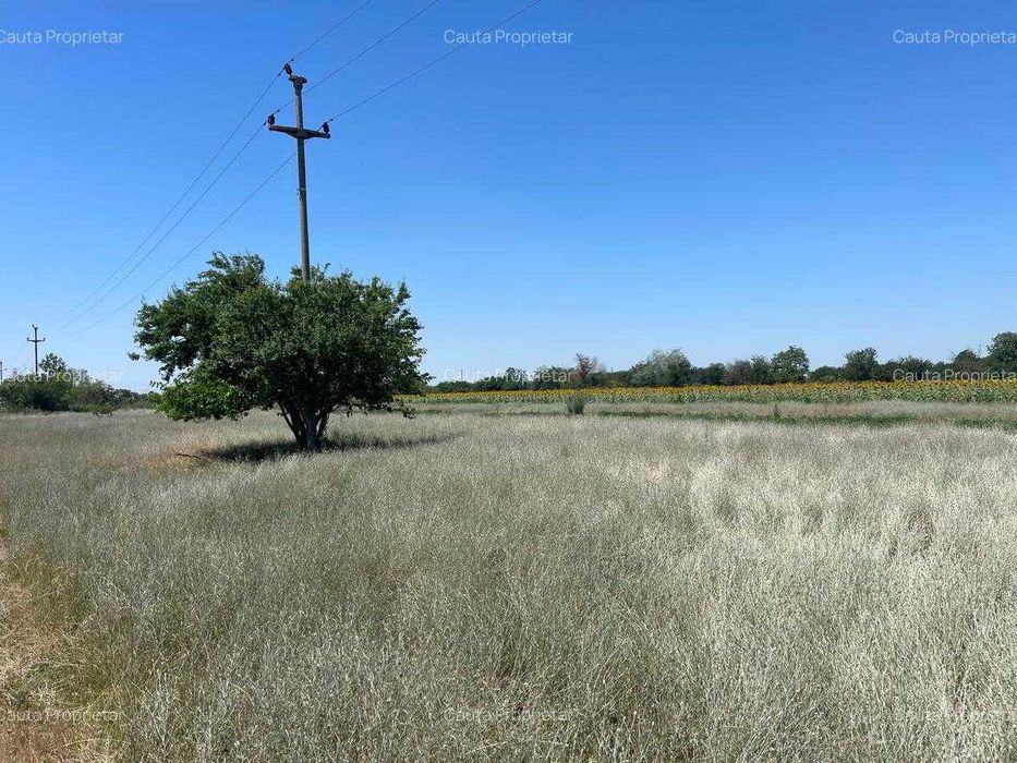 Oferta !!!   teren intravilan la 20 minute de bucuresti