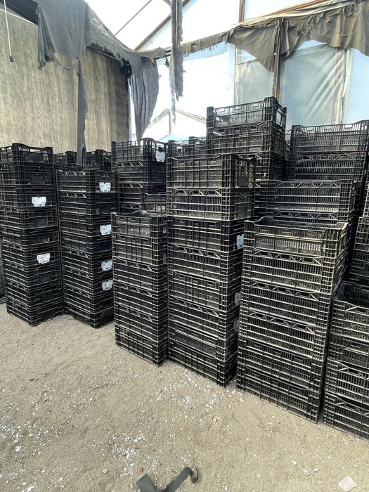 Продам ящики качественные