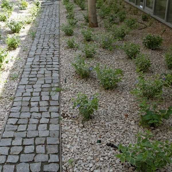 Piatră Cubică de Vânzare - Asigurăm Execuție și Transport