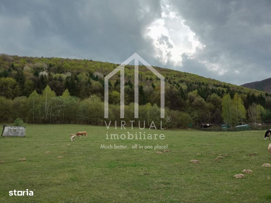 Teren intravilan de vanzare in Tocile, 3862 mp, priveliste spre padure