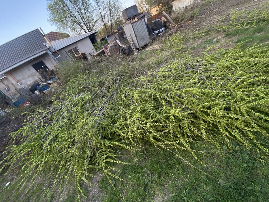 Продам дрова.