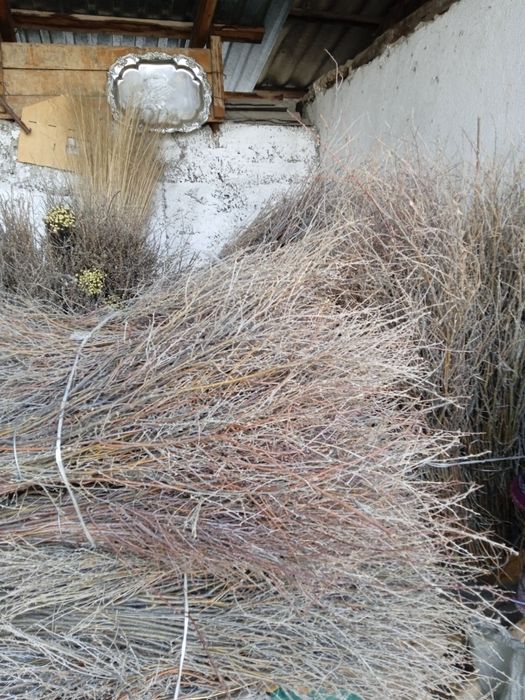 Веники качественные