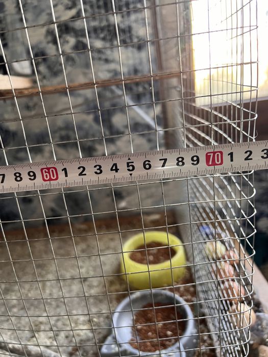 Клетка для попугаев