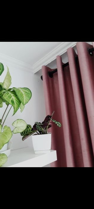 Шторы на люверсах (2 комплекта)