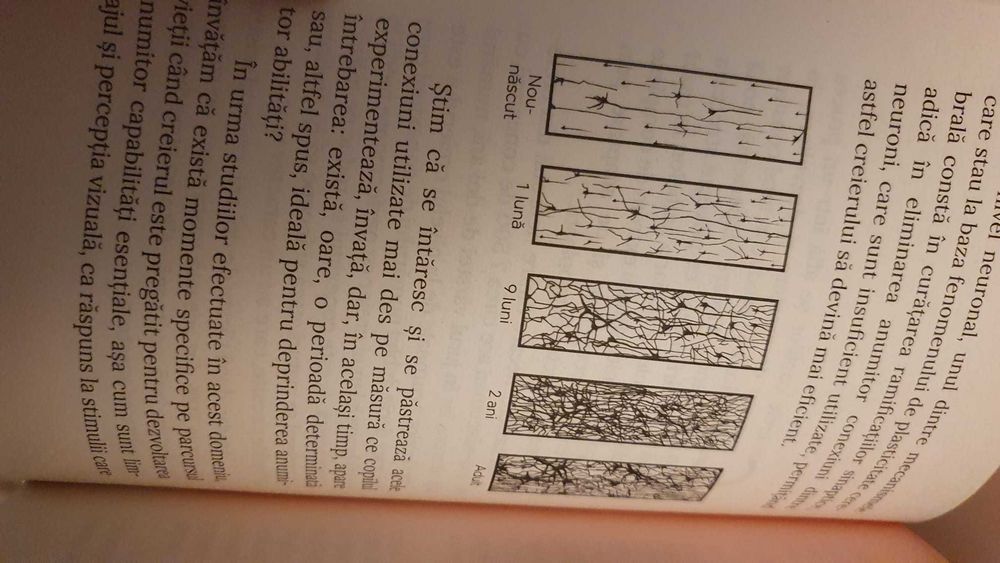 Leon Danaila-Neuroplasticitatea creierului