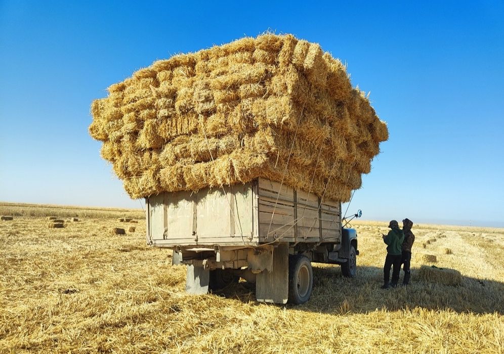 Газ 53 бортовой.