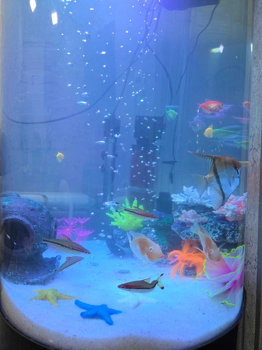 Аквариум цилиндрический Сleair Aquatics 200 литров