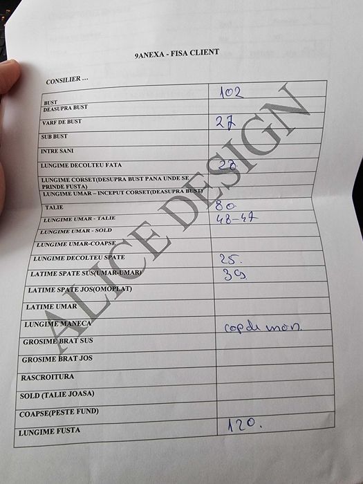 Rochie mireasa + voal Alice Design