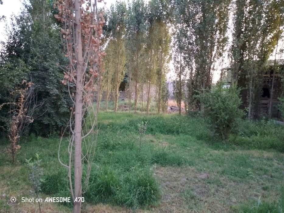 Quruq yer sotiladi 2 sotihdan boshlab 15 sotihgacha. Har sotih 10ming$