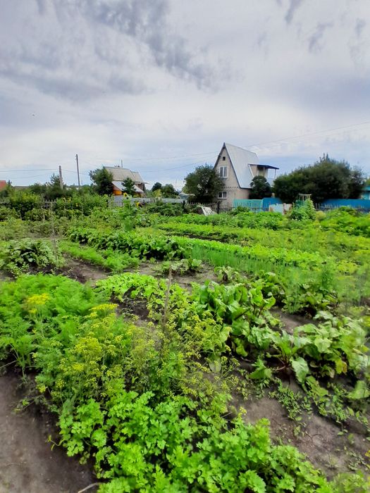 Продам дачу в обществе "Ромашка "