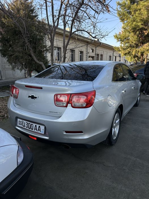 Malibu 1 arzonga lukli