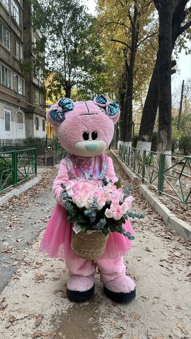 Мишки тедди, боссмолокососс