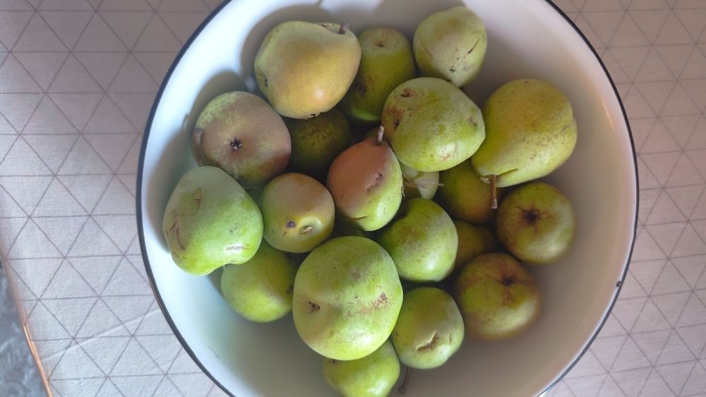 Груша вкусная 200 тг продам, город