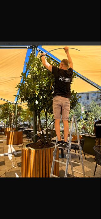 Terasa, restaurand , club