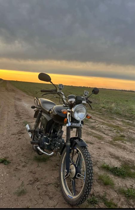 Рейсер 110 альфа