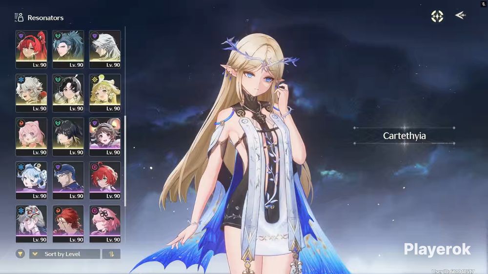 Wuthering waves account