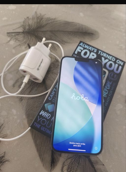 Iphone 13 pro max 256 gb