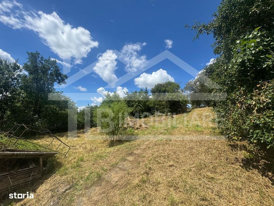 Casa cu 3 camere, 2300mp teren, zona SubPadure