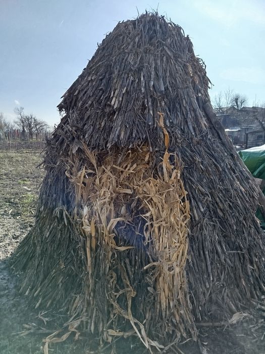 Coceni la snop de vinzare