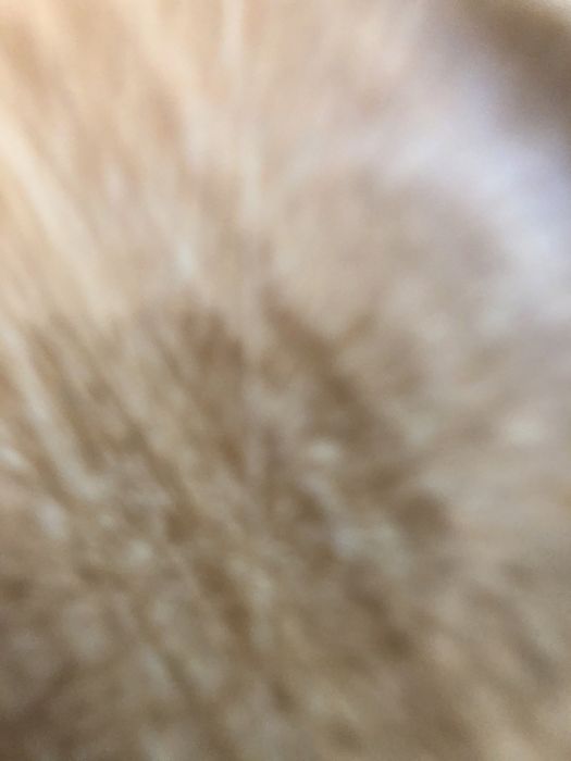 Есть залы.   Кул.   Доставка есть