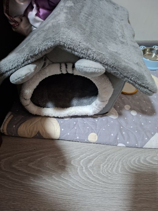 Мушукча сотилади