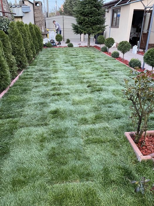 Amenajari spati verzi , intretinere si ingrijire Gradini !!!