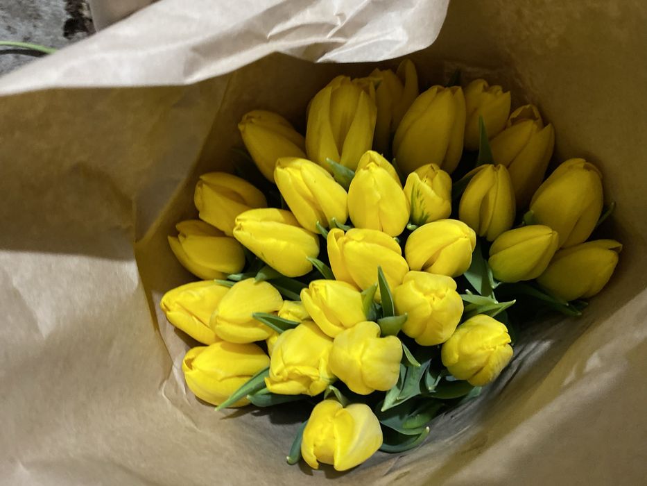 Тюльпаны оптом и в розницу