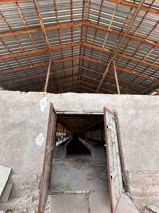 Срочно продается ферма 24 сотки Янгиюль Захарьевский