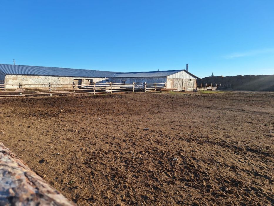 Фермерское хозяйство