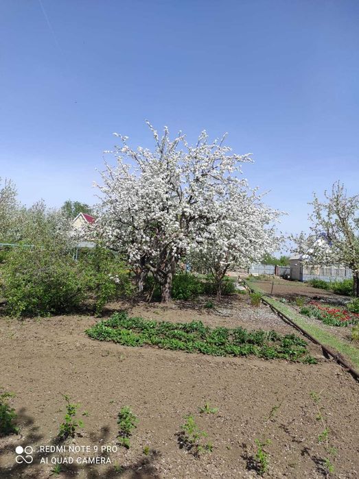 Продаётся дача, пос. Новенький, кооператив "Берёзка"