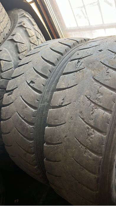 Продам шины Шахман Хова