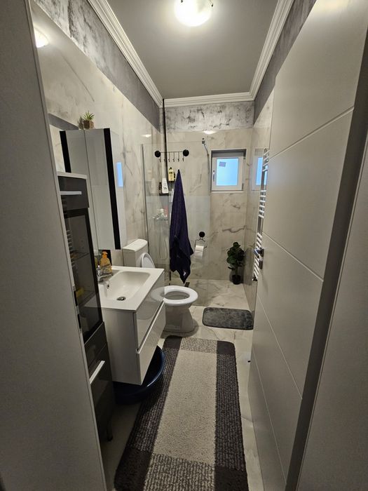 Duplex mosnita veche proprietar