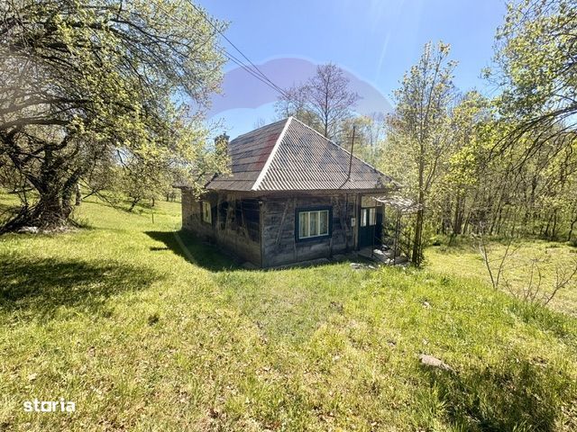 Casa traditionala,teren 6.039 mp DESESTI Maramures