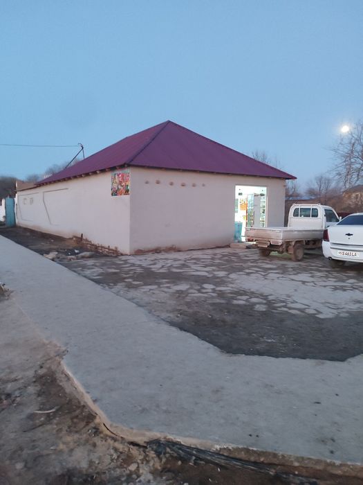 Тайн Уй магазин тайн бизнес тайн Хауз балиги менеен сатилади