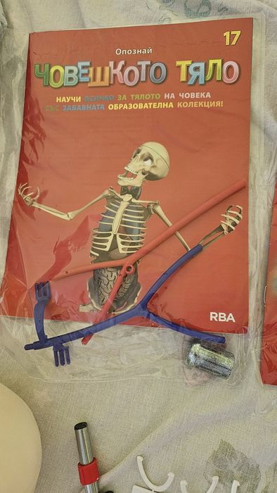 Опознай човешкото тяло