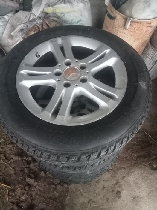 Жап жана балон қысқы