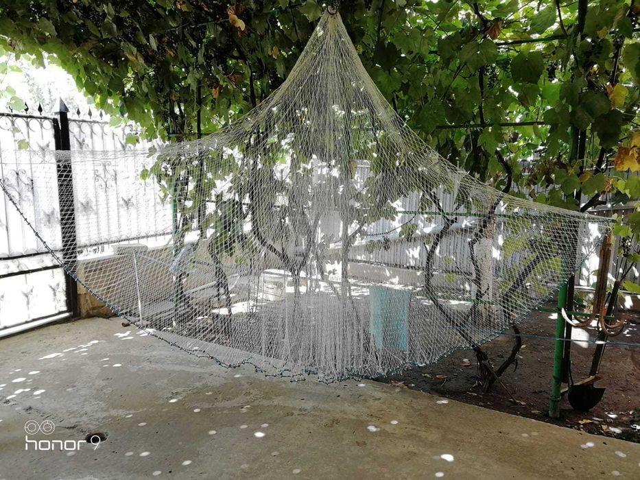 Secca de scrumbie  95m si 4 m înălțime