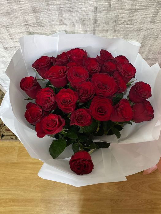 Красные розы, 25 штук