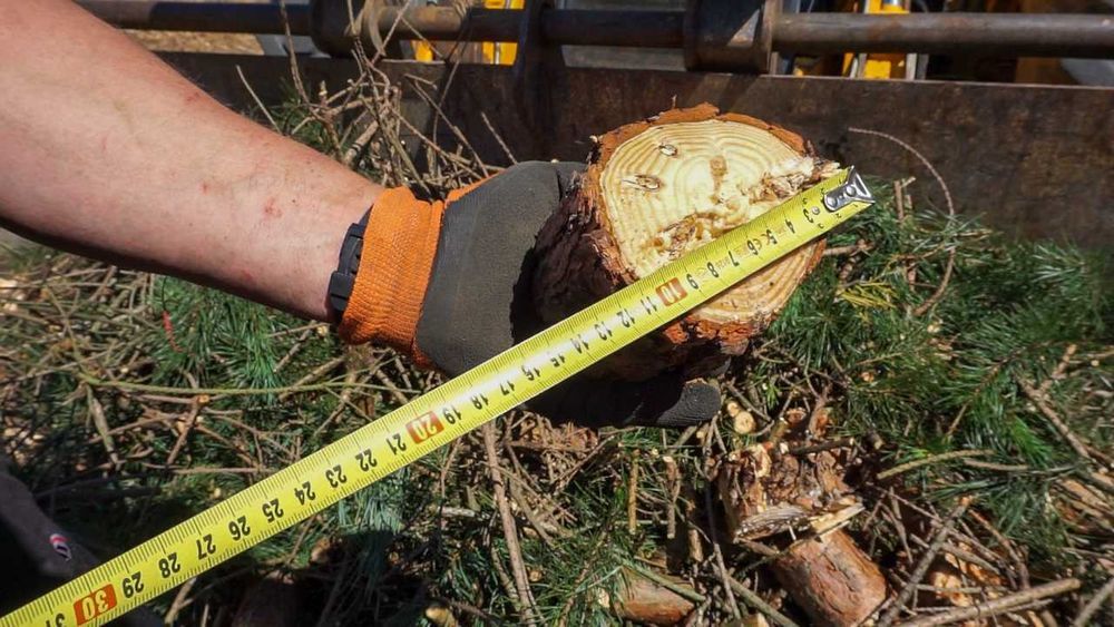 tocător crengi  r 120 la tractor - pret promo